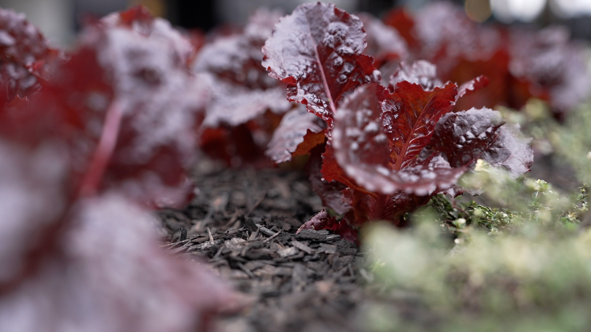 20220322 RW-GMC PHO 1494